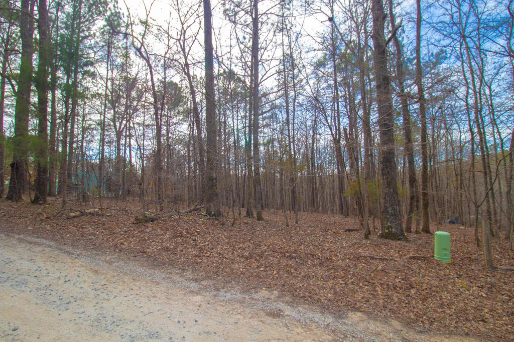 12 Mountain Road Hamilton, GA 31811 - Photo 1 of 5 Main View