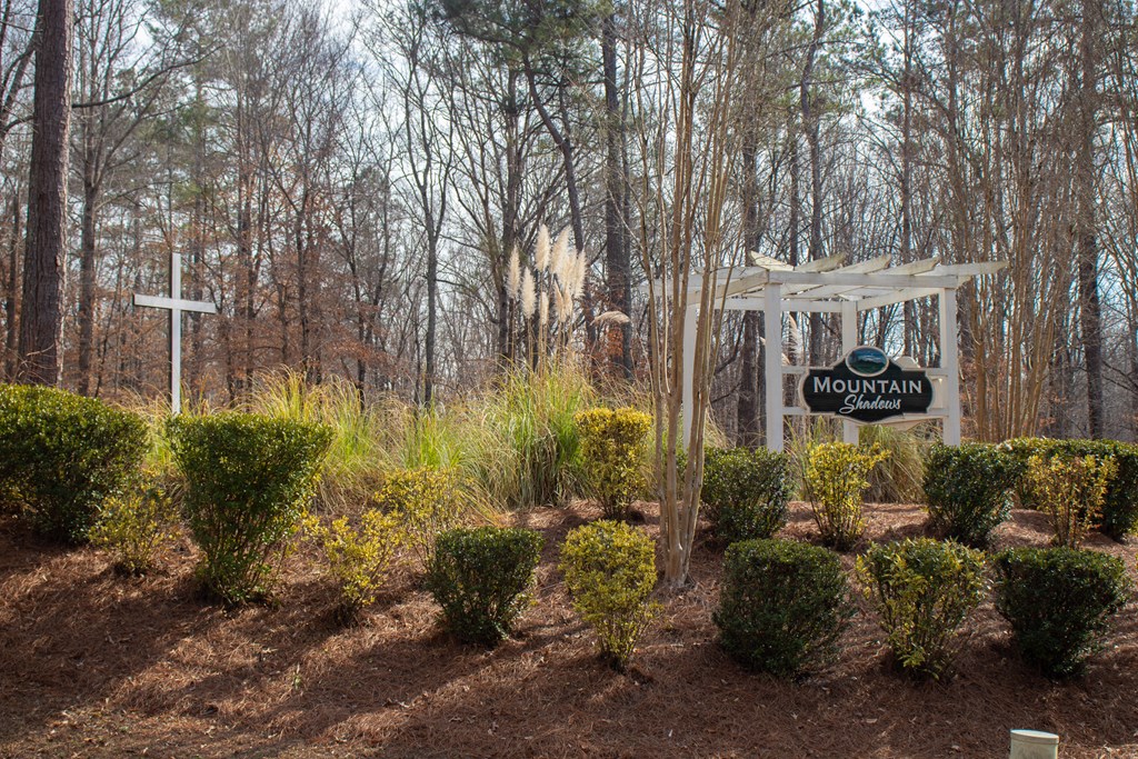 12 Mountain Road Hamilton, GA 31811 - Photo 4 of 5 Gallery Image 4
