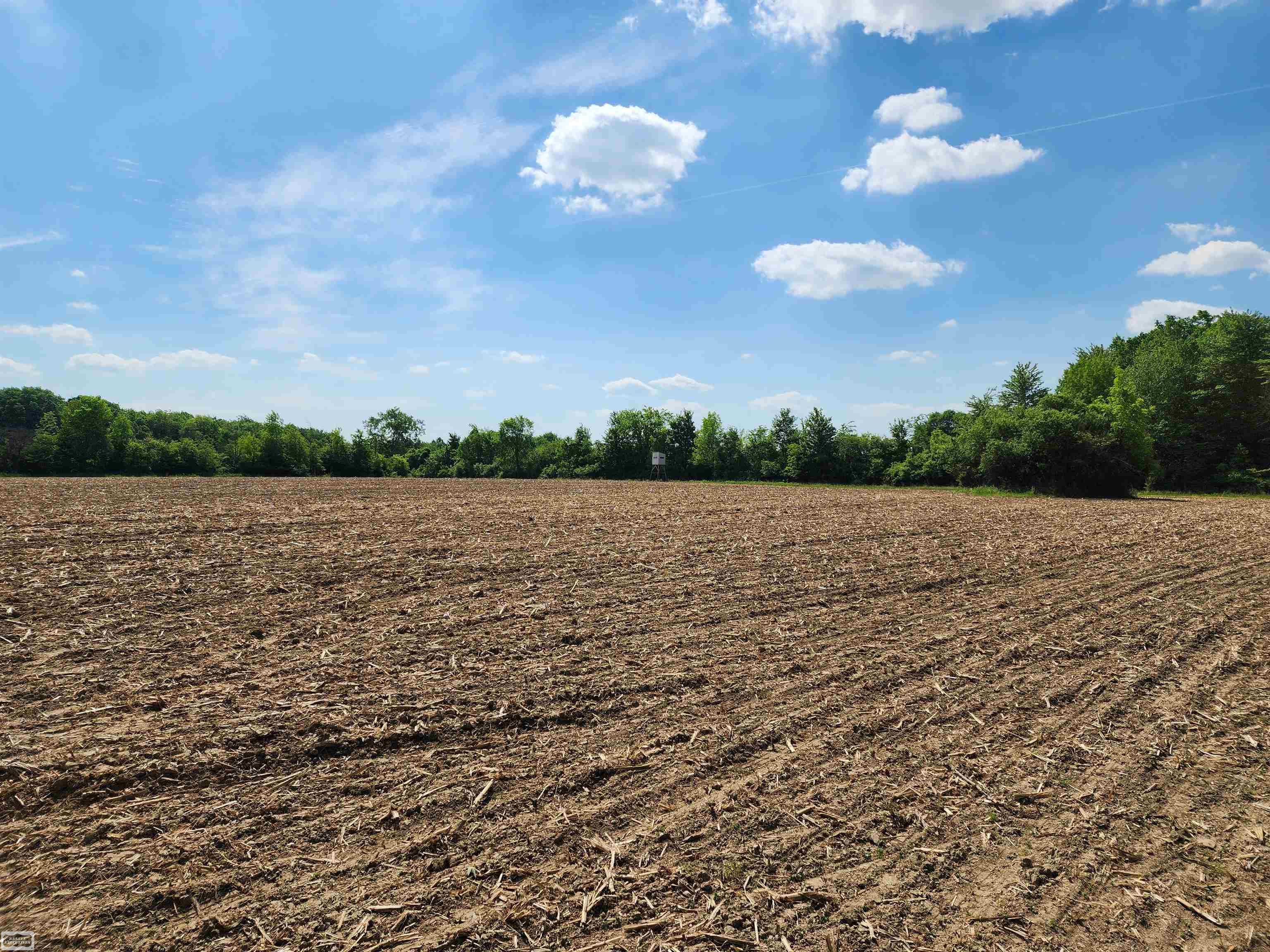 0 Brennan Road Avoca, MI 48006 - Photo 21 of 38
