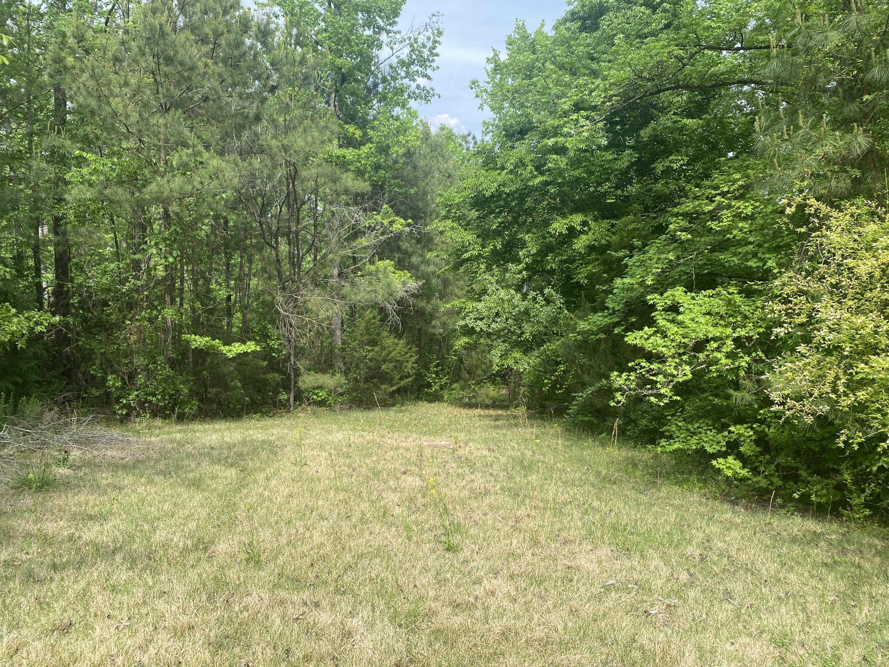 416 Turkey Trail Clarks Hill, SC 29821 - Photo 55 of 60 IMG_8548