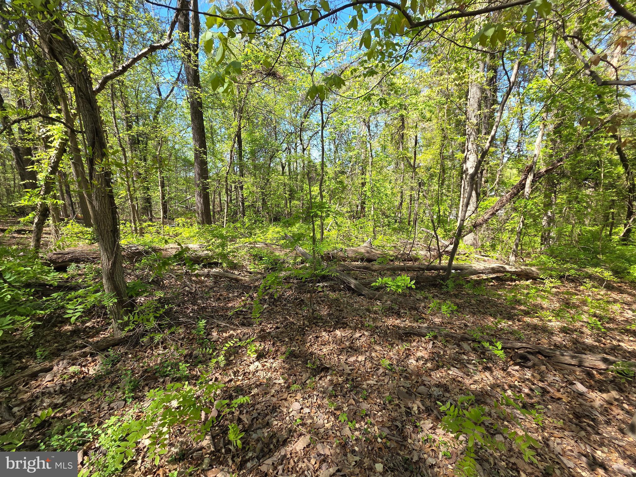 Riverdale Road Lanham, MD 20706 - Photo 1 of 15