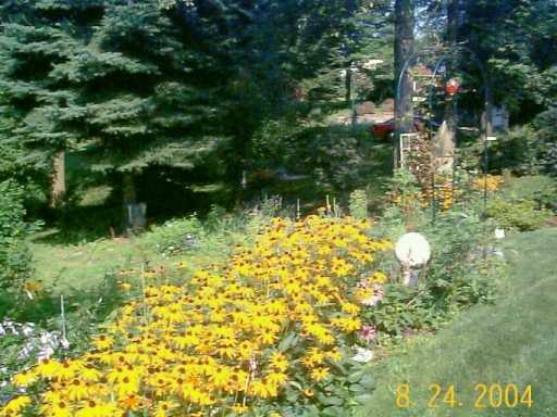 248 Lytton Road Coraopolis, PA 15108 - Photo 3 of 8 Yard/Garden.