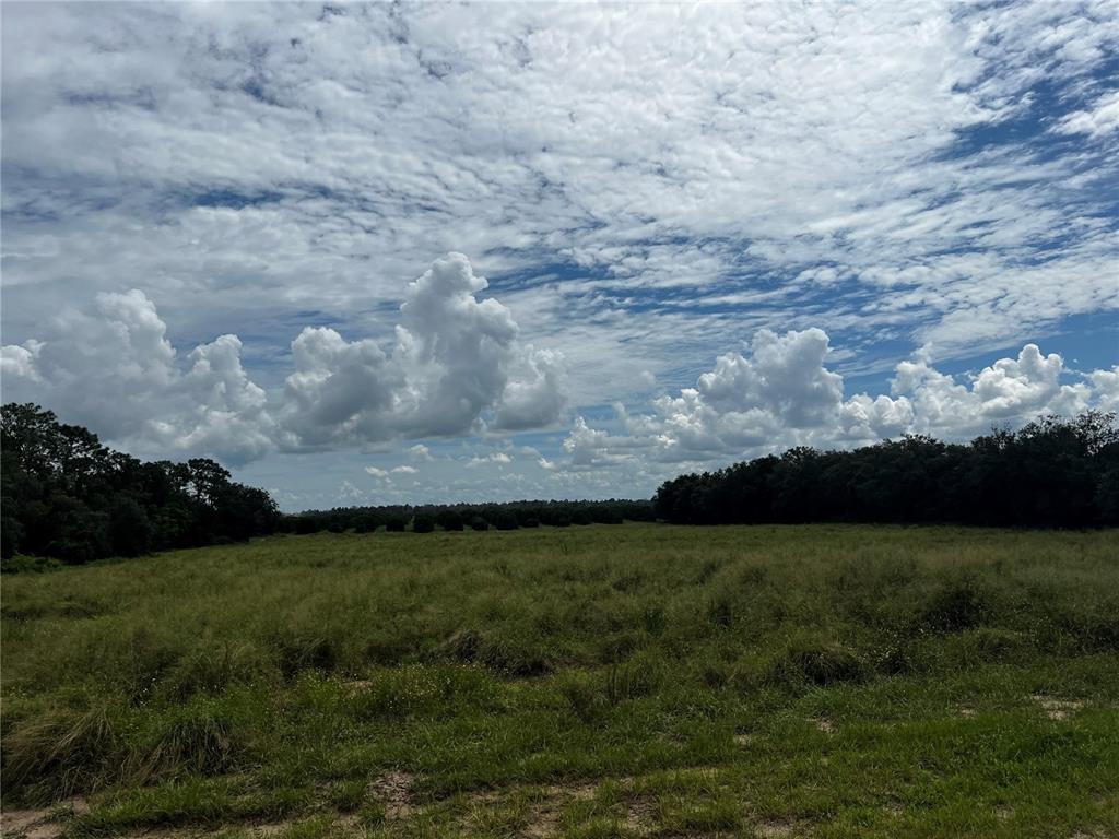 Sils Rd Lake Lake Wales, FL 33898 - Photo 1 of 1 Gallery Image 1