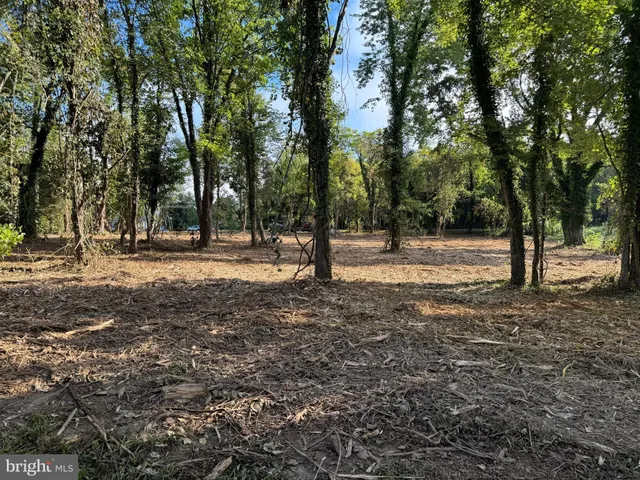 a view of road with trees