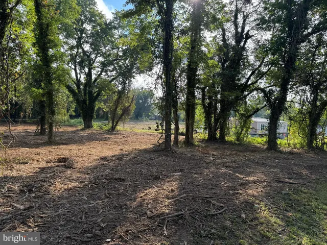 a view of outdoor space with green space
