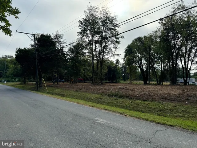 a view of a field with large trees