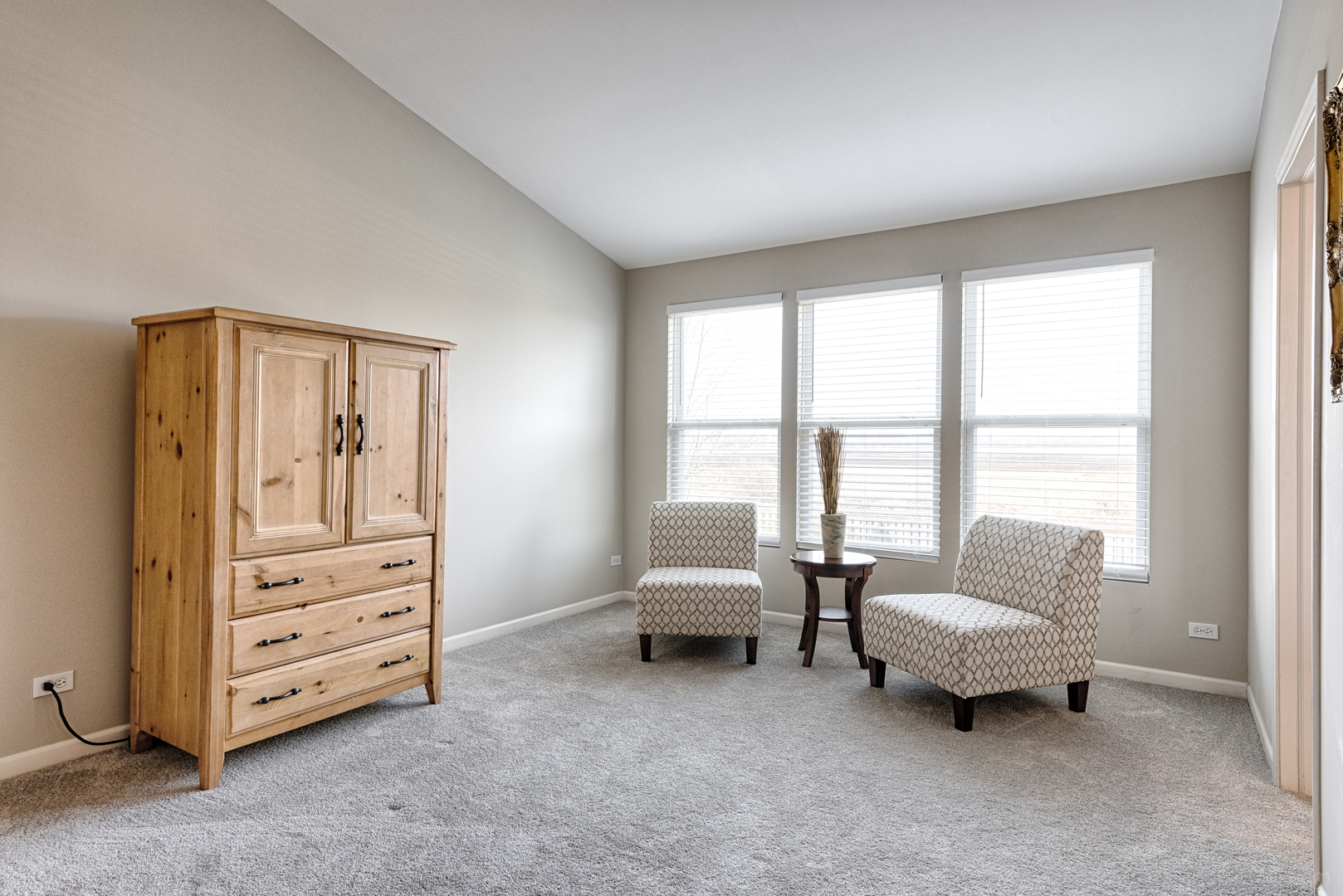 11631 Glenn Circle Plainfield, IL 60585 - Photo 18 of 31