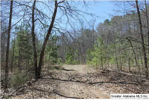 Cheshire Lane Pelham, AL 35124 - Photo 9 of 17