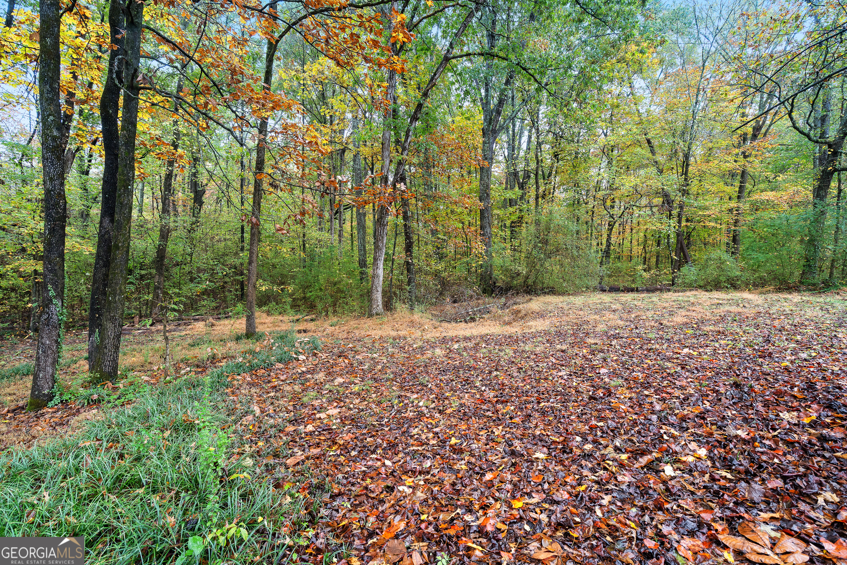 207 Squirrel Avenue Cohutta, GA 30710 - Photo 32 of 38