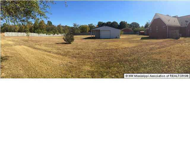 931 Sycamore Road Coldwater, MS 38618 - Photo 20 of 24 Additional Photo