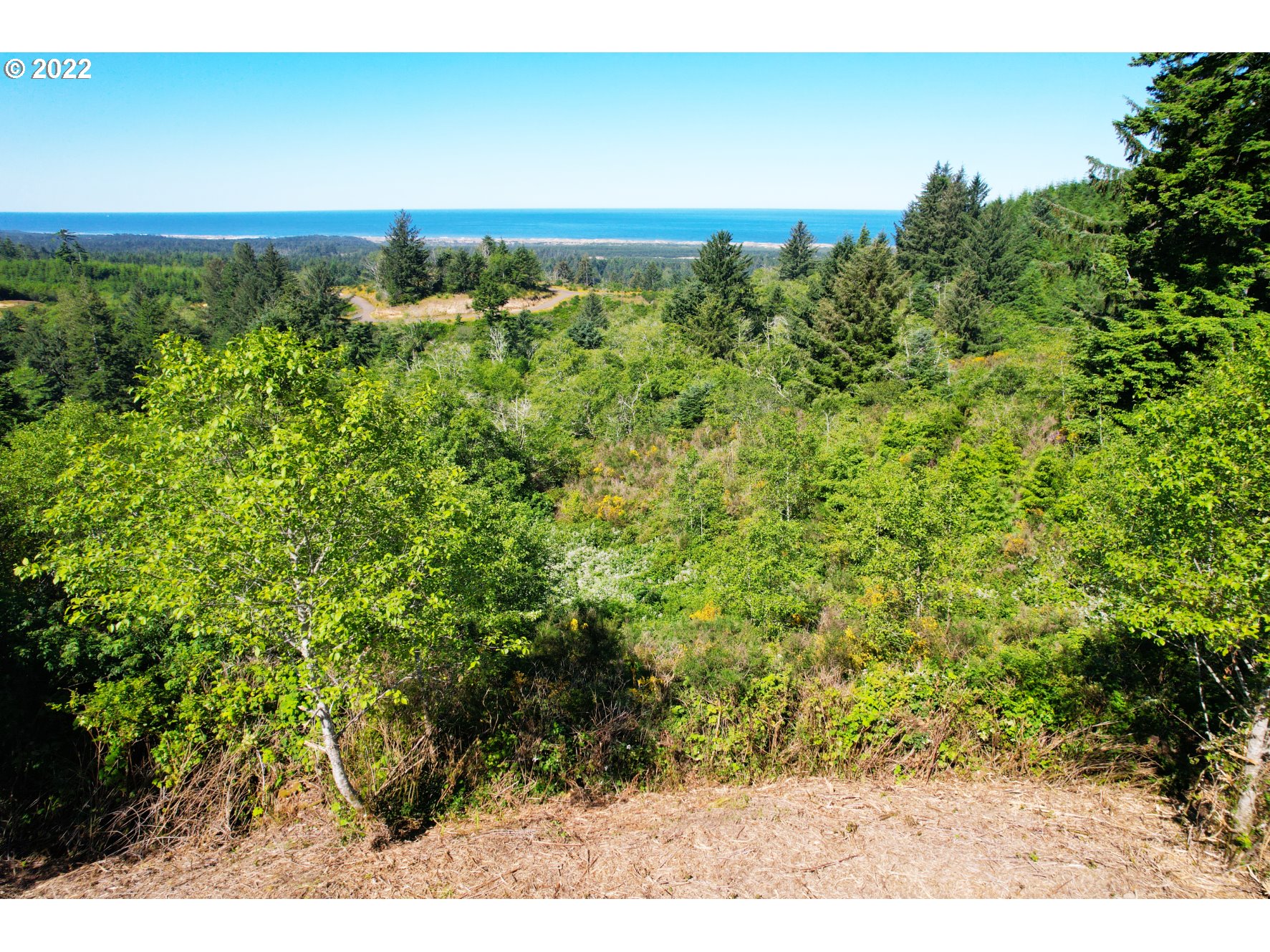 5529 Herman Cape Road Florence, OR 97439 - Photo 15 of 17 a view of a yard
