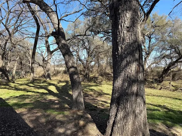 a view of park with large trees