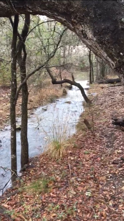 210 Amandas Way Leander, TX 78641 - Photo 36 of 38