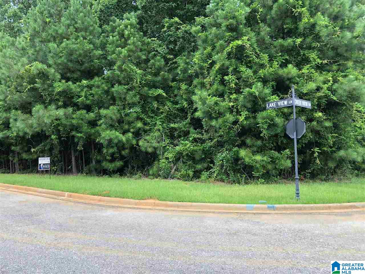 1009 Lake View Lane, Unit 115 Calera, AL 35040 - Photo 6 of 8