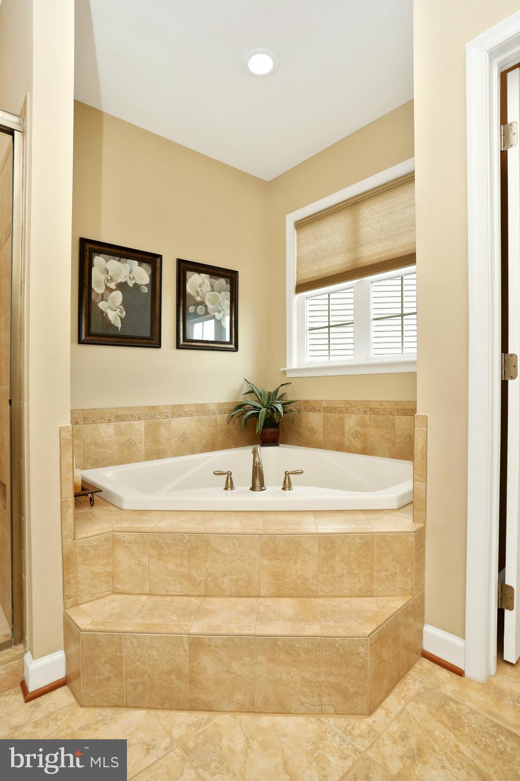 4000 Pennyfields Lock Court Point of Rocks, MD 21777 - Photo 15 of 30 Bath (Master)