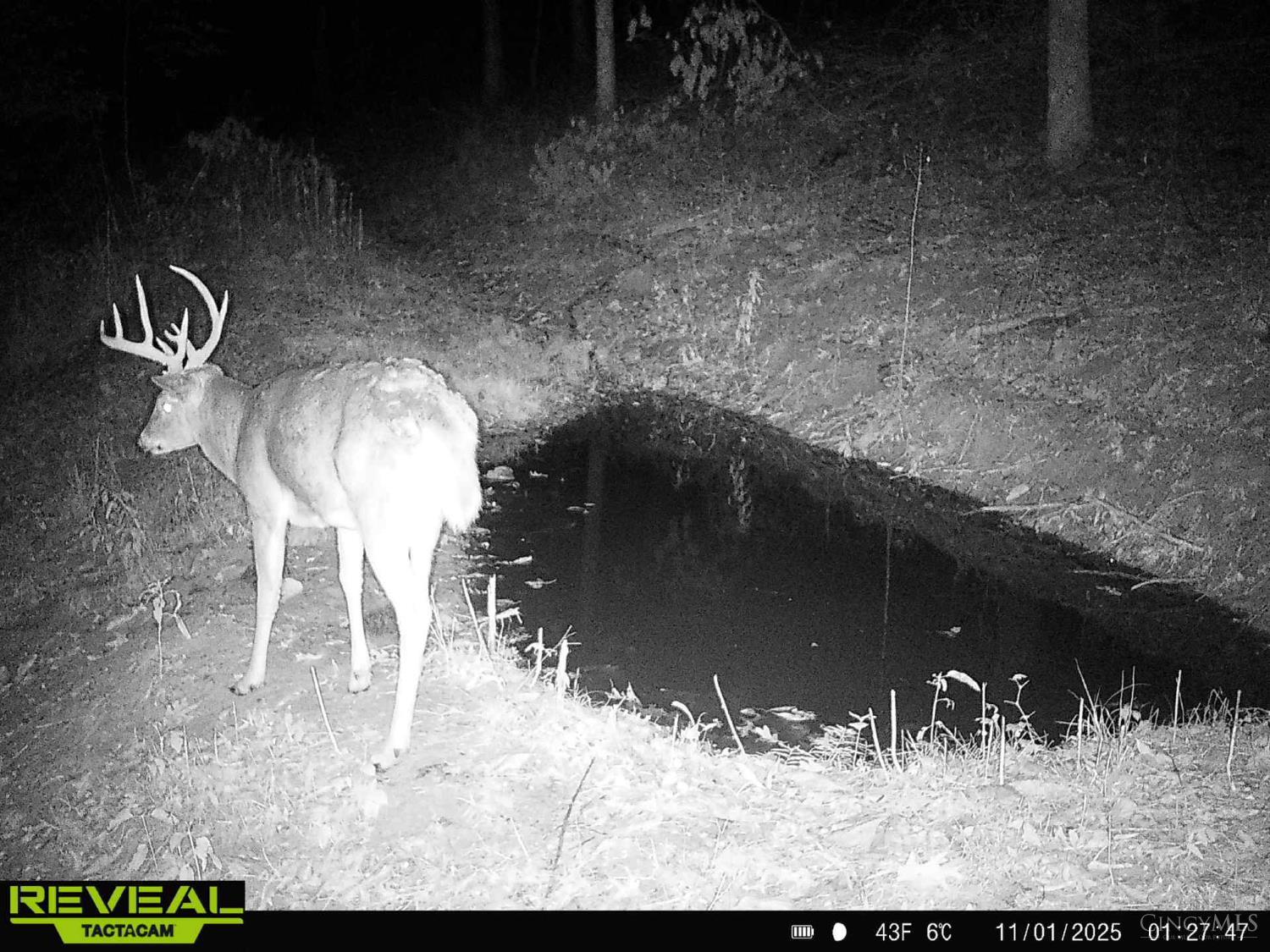 Ac Beech Fork Road Peebles, OH 45660 - Photo 32 of 49
