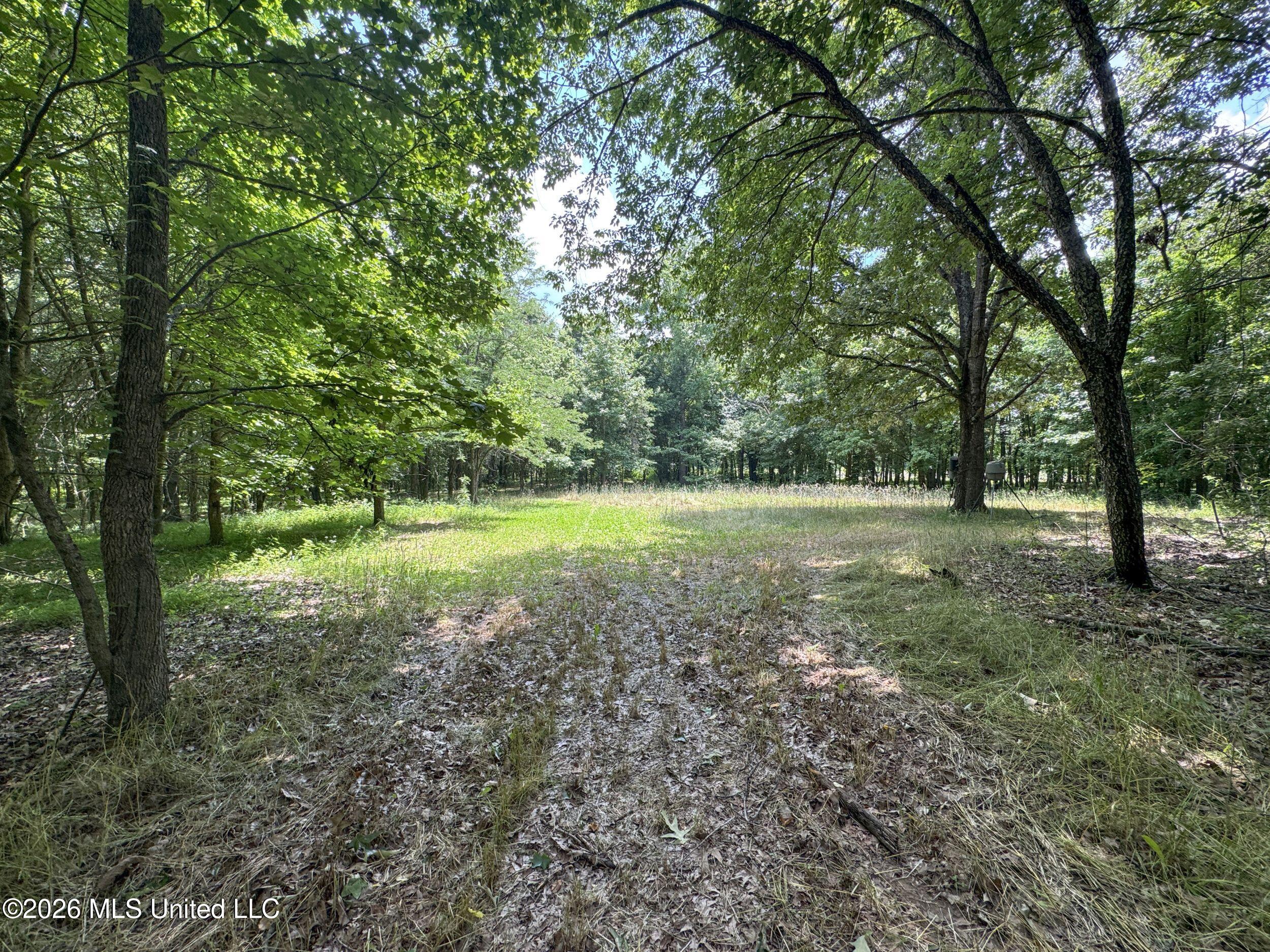 884 Avant Road Crenshaw, MS 38621 - Photo 119 of 154 6dbyicr63