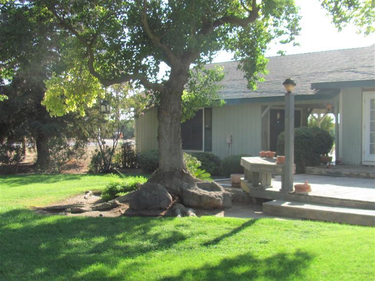 23252 Manning Avenue Reedley, CA 93654 - Photo 22 of 26 Gallery Image 22