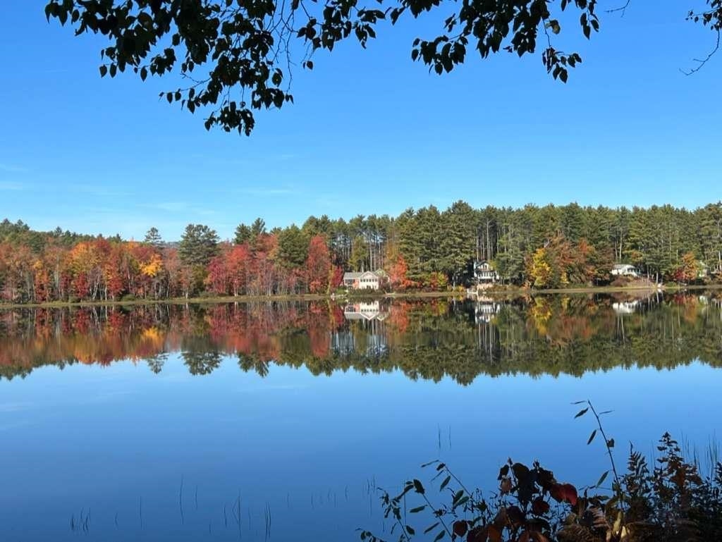 215 Stocker Pond Road Grantham, NH 03753 - Photo 45 of 46