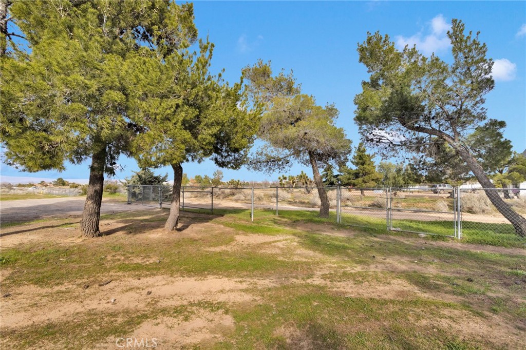 4875 Sunnyslope Road Phelan, CA 92371 - Photo 40 of 57 a view of a yard with trees