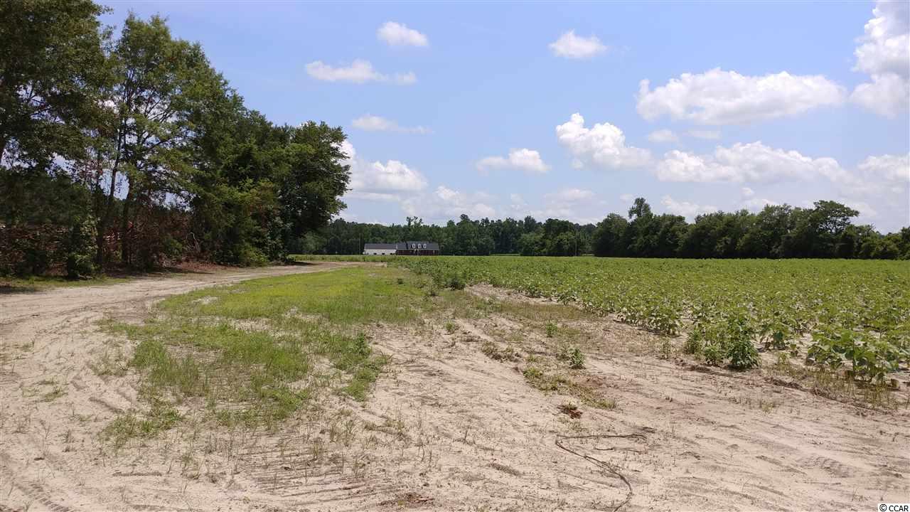 Tbd Jordan Road Aynor, SC 29544 - Photo 2 of 3 Gallery Image 2