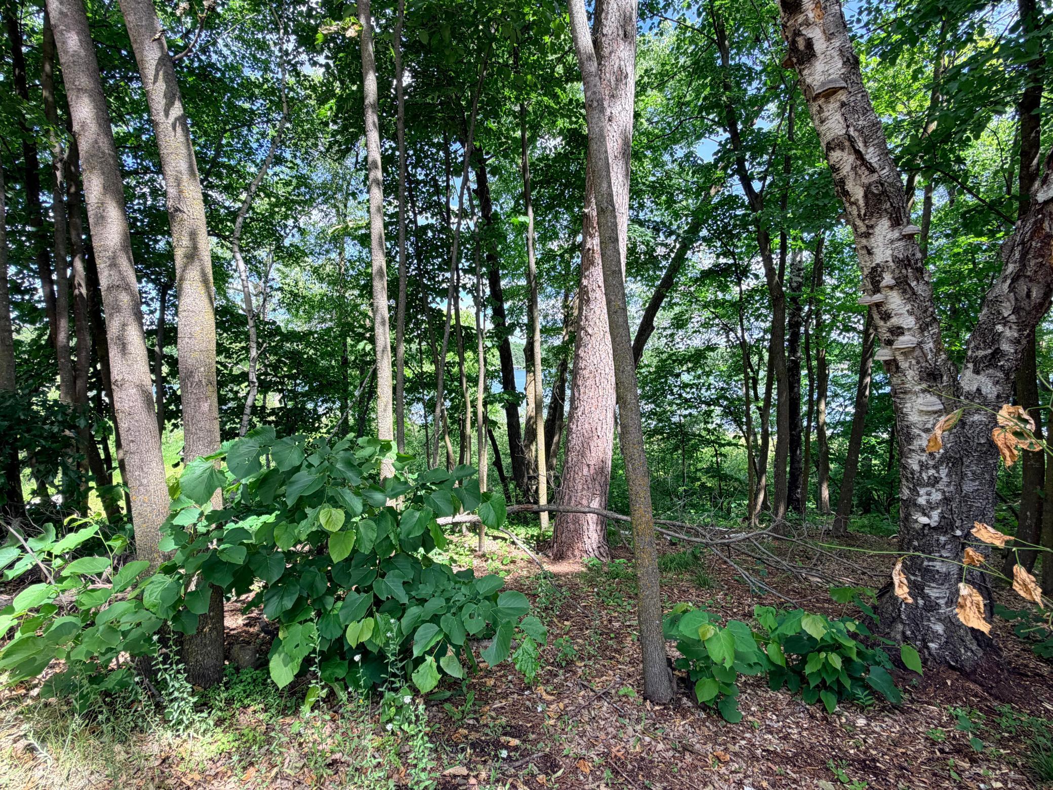 14220 Stocking Lake Road Menahga, MN 56464 - Photo 10 of 41