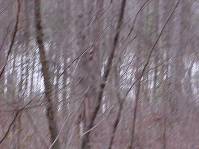 119 Frontage Road Anderson, SC 29621 - Photo 6 of 6
