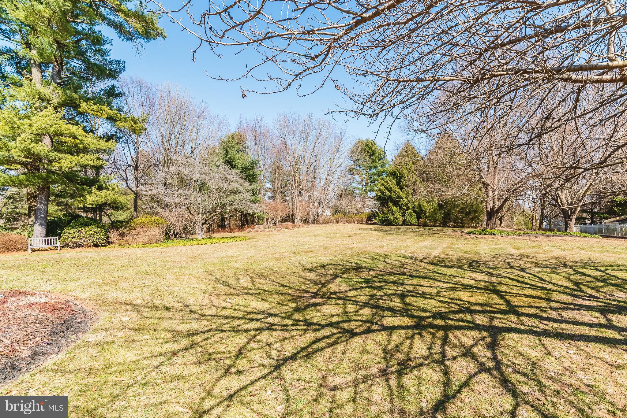 1703 Campbell Road Forest Hill, MD 21050 - Photo 59 of 79 Mature lot ready to come alive this Spring