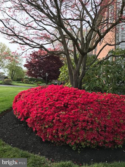 1703 Campbell Road Forest Hill, MD 21050 - Photo 72 of 79 Beautiful colors to look forward too!