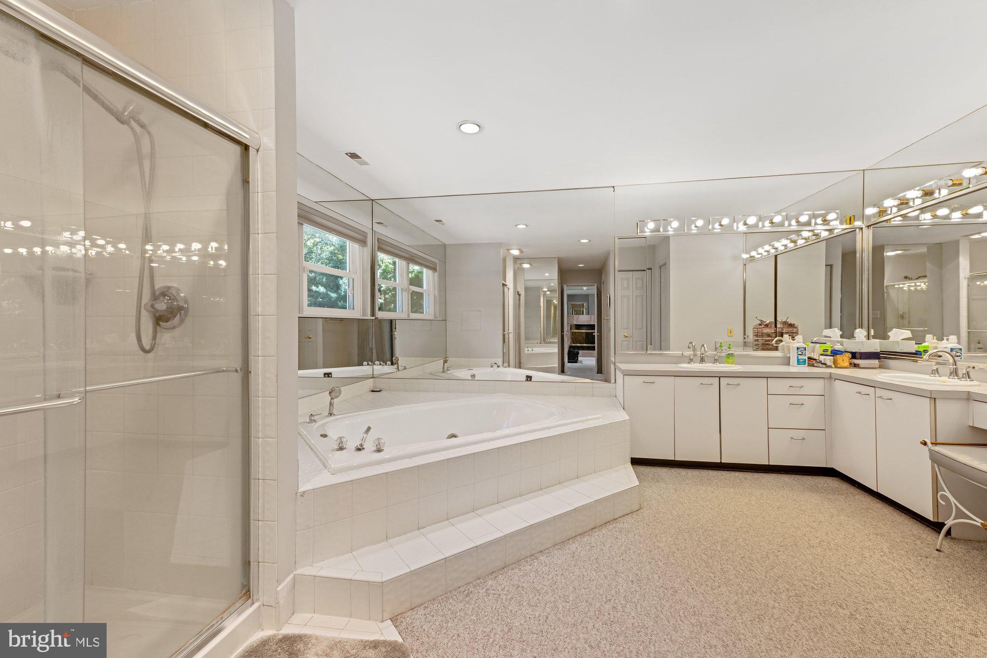 307 Delight Meadows Road Reisterstown, MD 21136 - Photo 22 of 44 Primary Bathroom