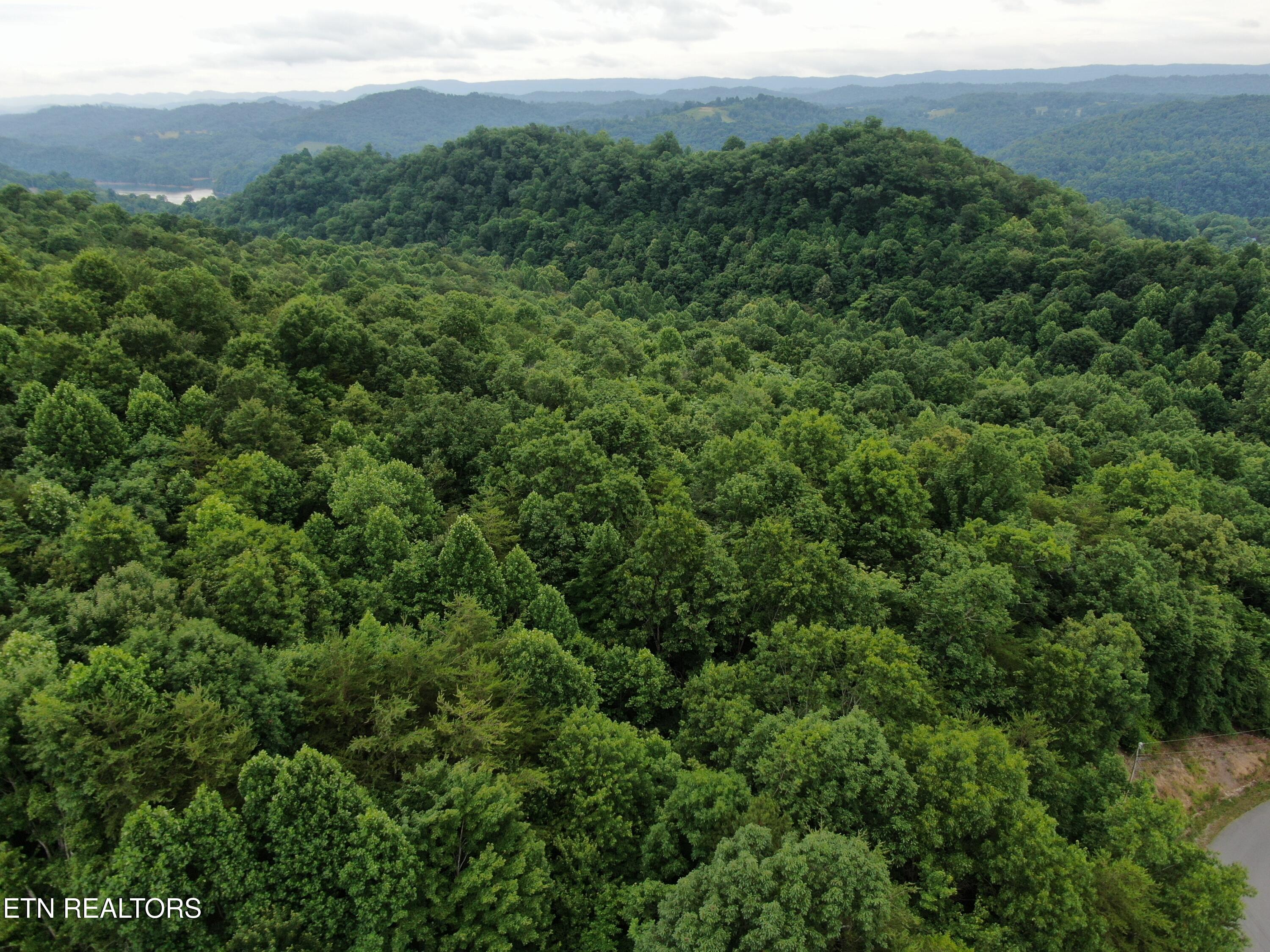DJI_0386