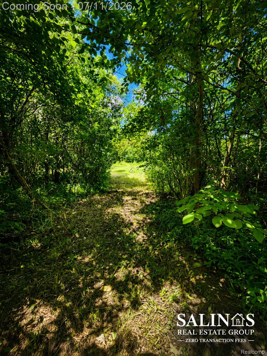 2120 Montague Road Davison, MI 48423 - Photo 16 of 37 Wooded pathway surrounded by dense foliage