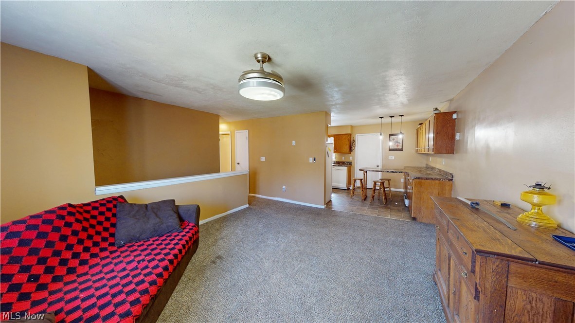 6970 Bushnell Road Conneaut, OH 44030 - Photo 16 of 28 Living room featuring dark carpet