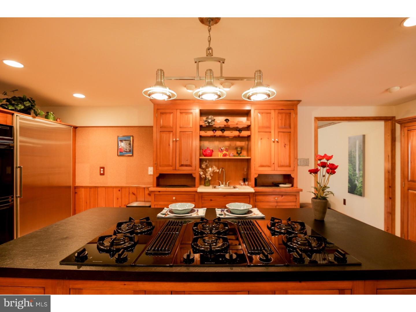 4241 Conestoga Road Elverson, PA 19520 - Photo 8 of 25 Kitchen