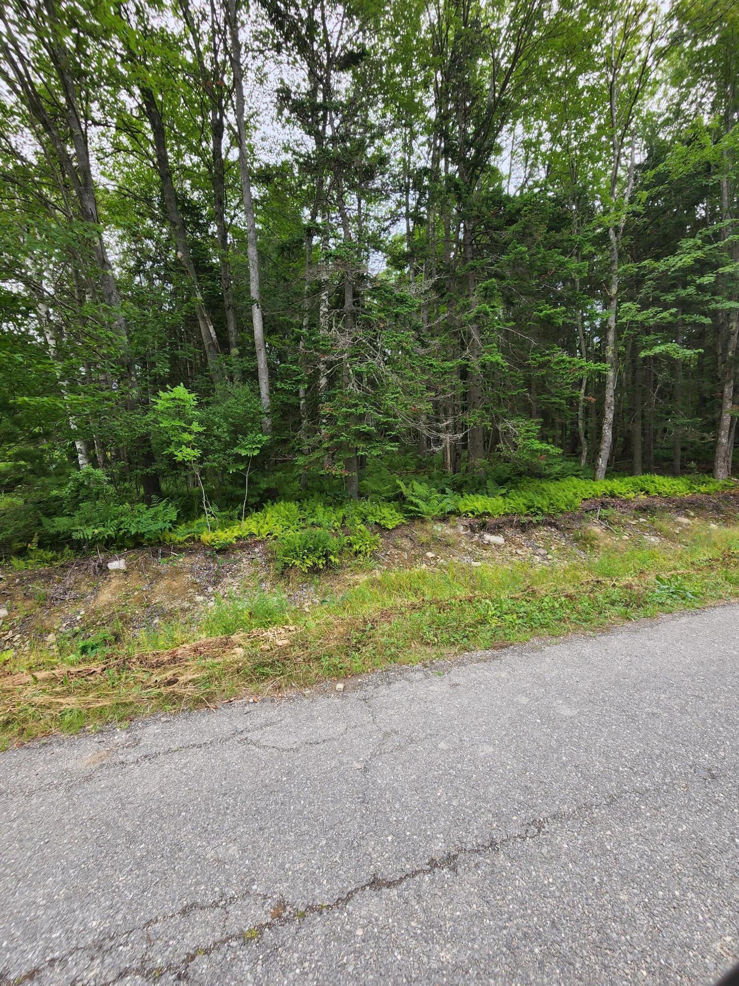 55 Black Road South Searsport, ME 04974 - Photo 4 of 8 20220809_145053