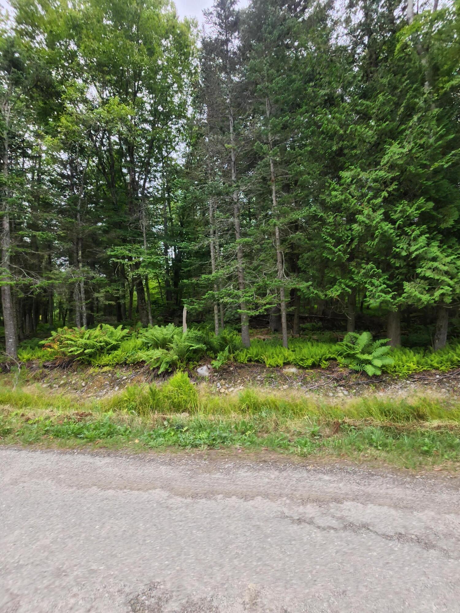 55 Black Road South Searsport, ME 04974 - Photo 5 of 8 20220809_145042