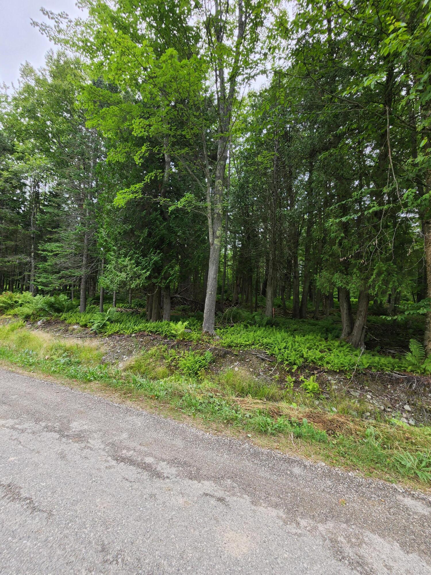 55 Black Road South Searsport, ME 04974 - Photo 6 of 8 20220809_145037