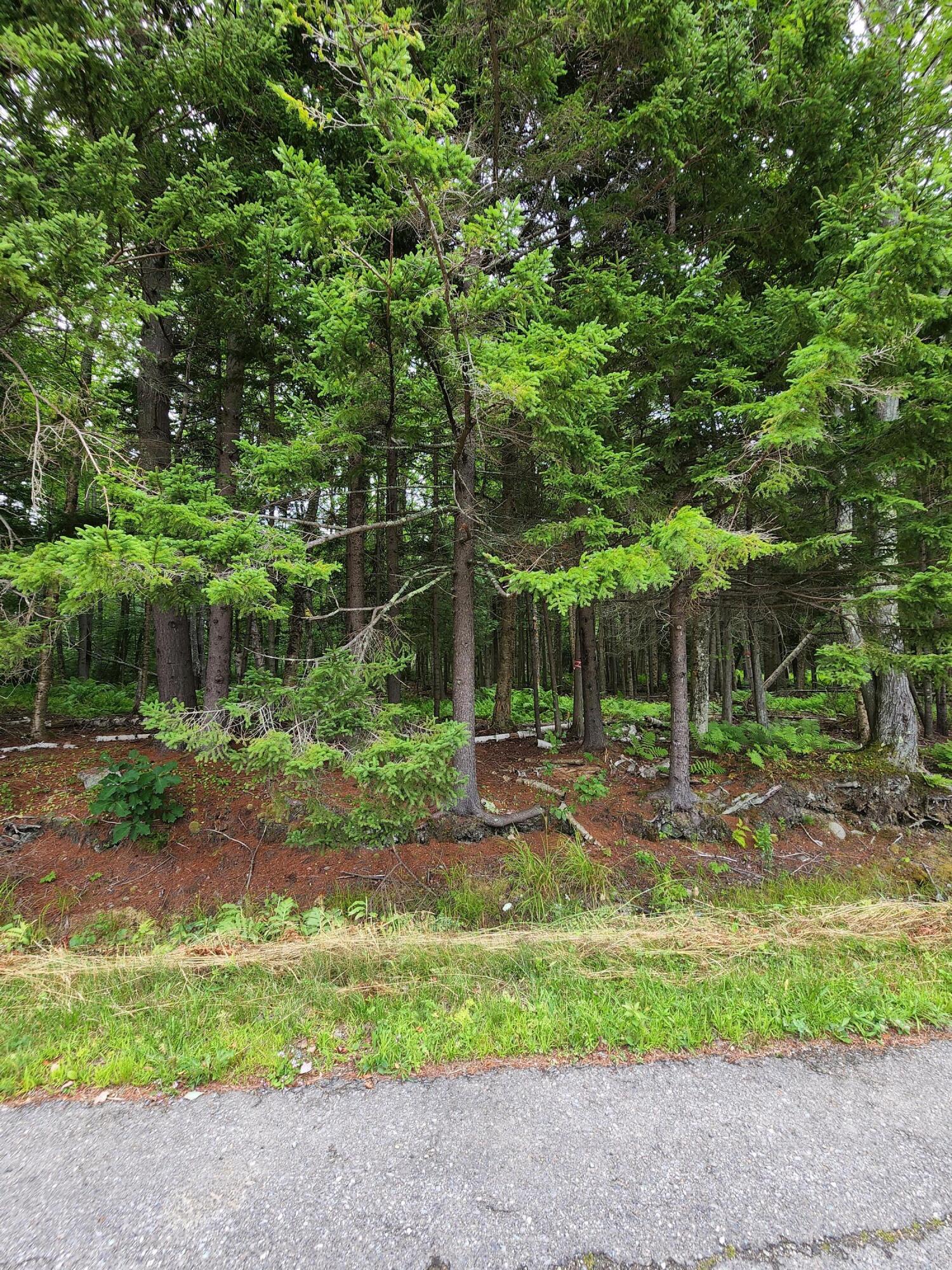 55 Black Road South Searsport, ME 04974 - Photo 7 of 8 20220809_145012