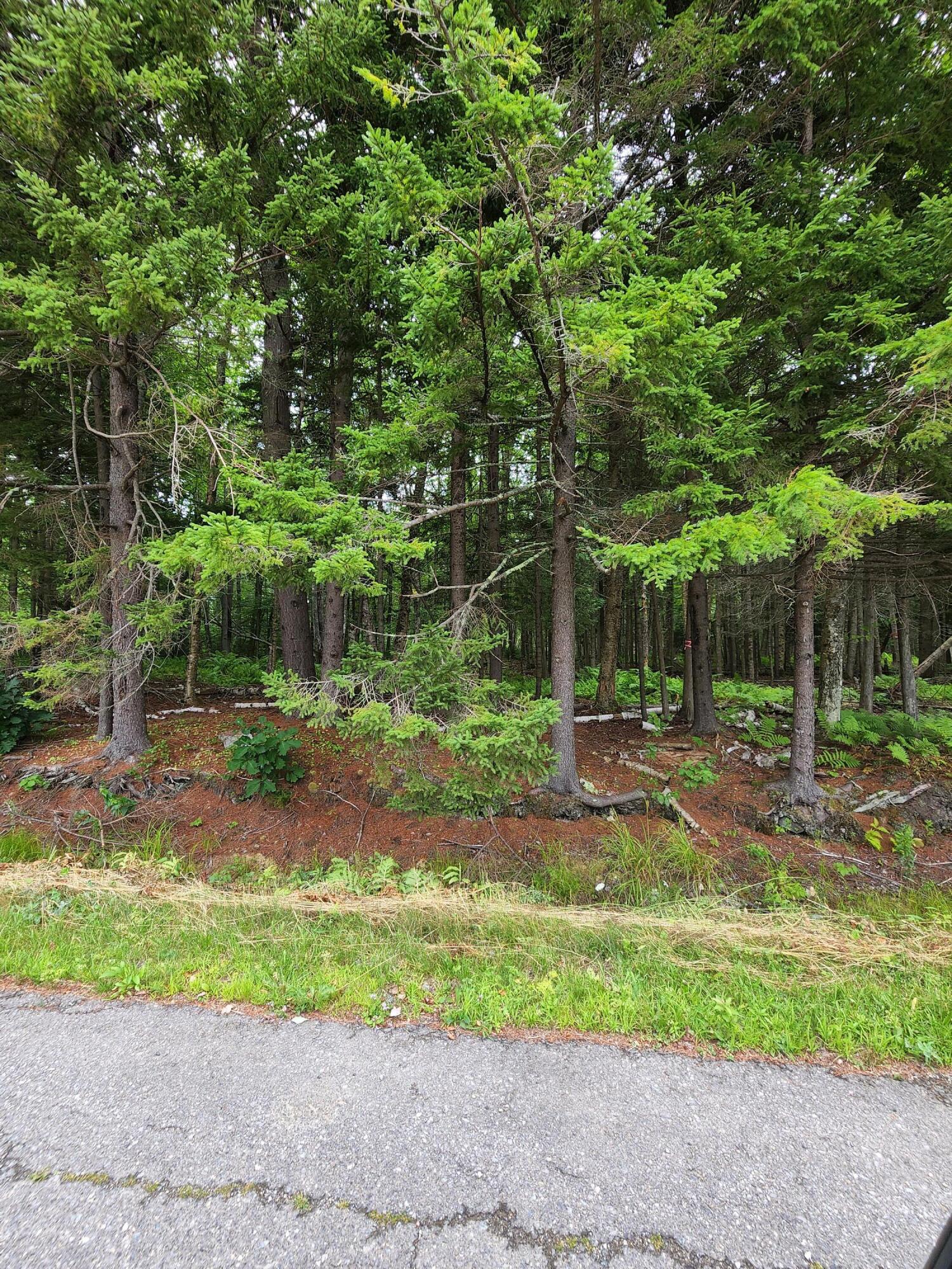 55 Black Road South Searsport, ME 04974 - Photo 8 of 8 20220809_145007