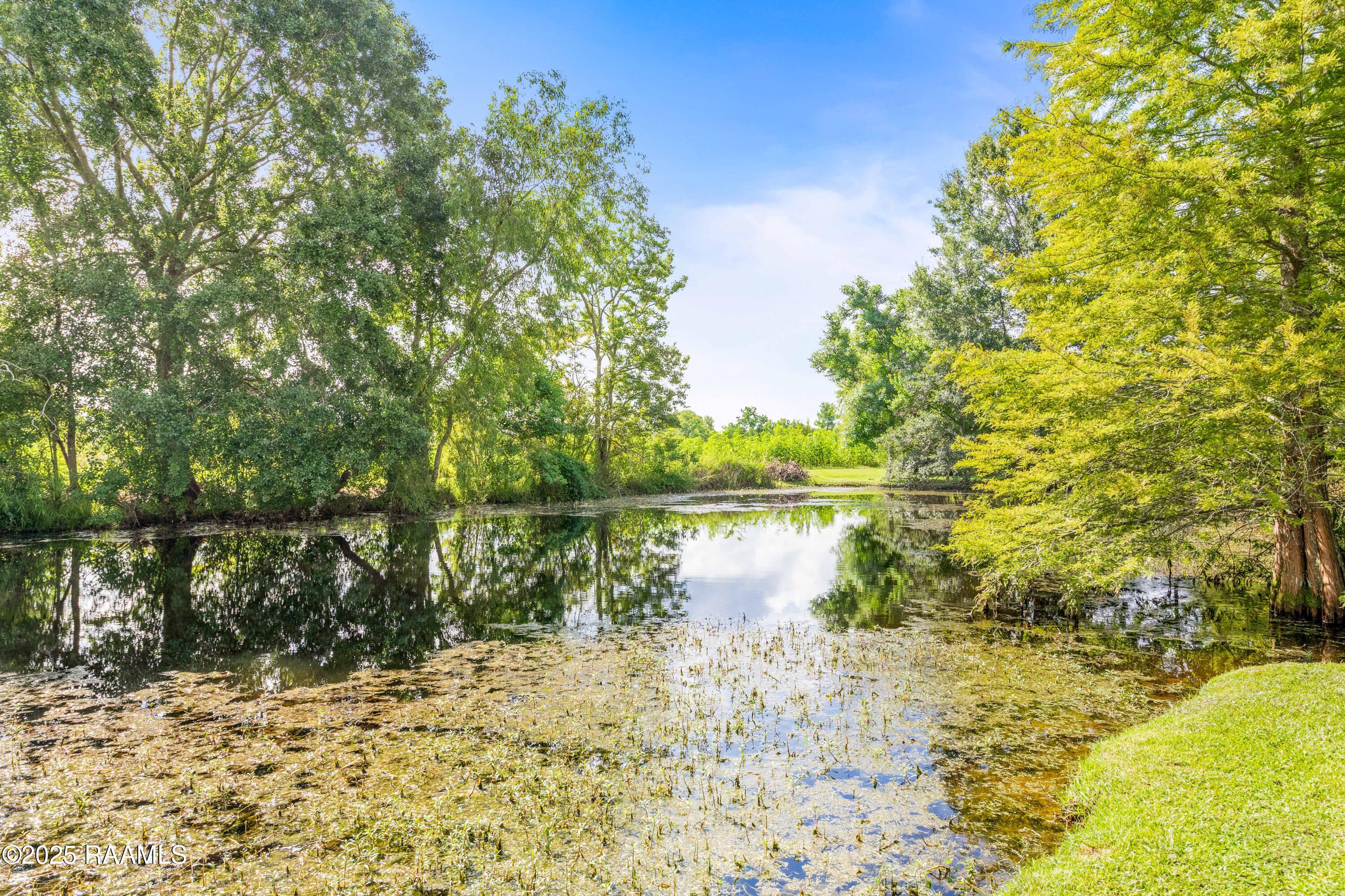 429 Hanks Road Duson, LA 70529 - Photo 46 of 58 429Hanks-23