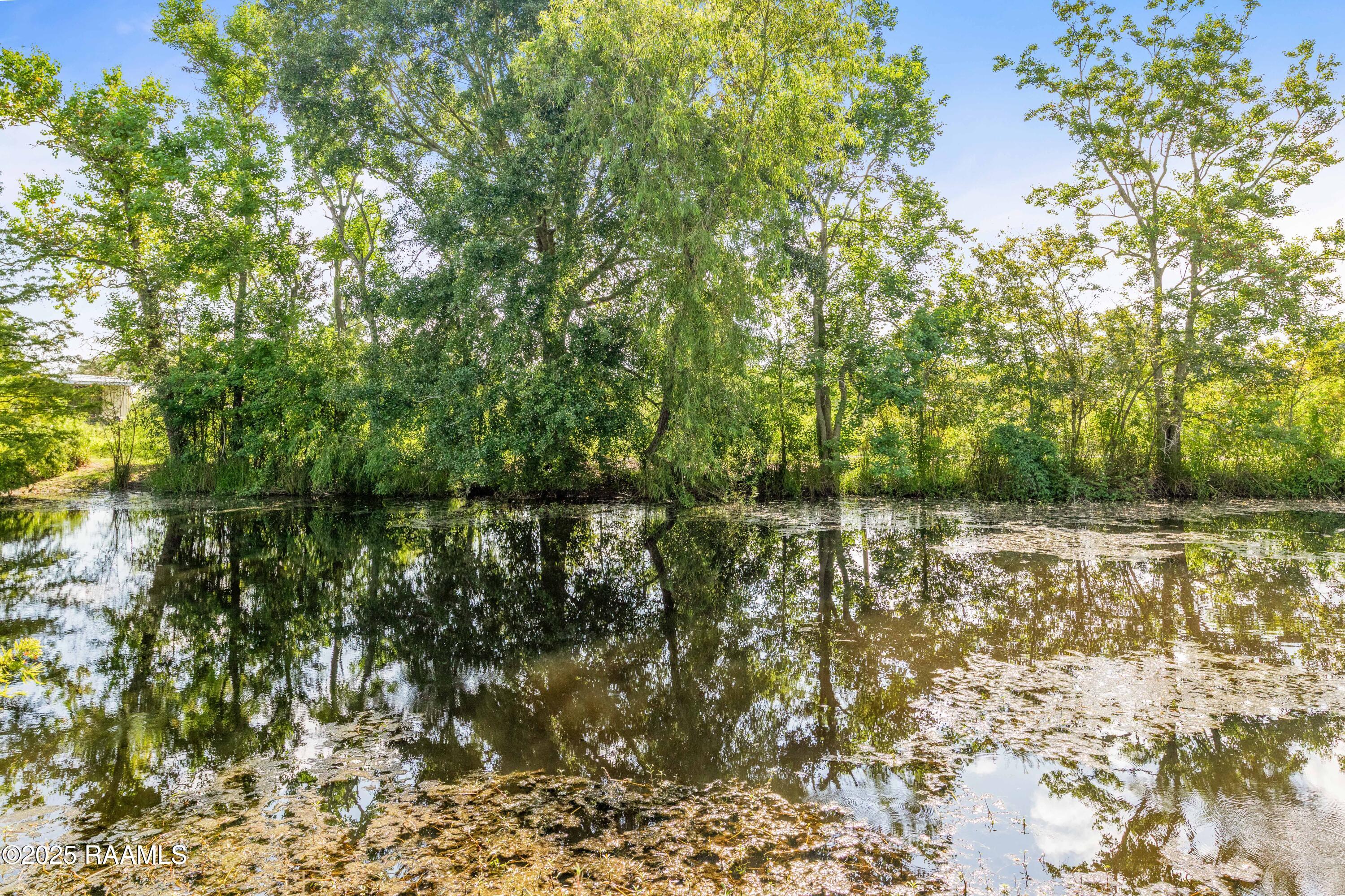 429 Hanks Road Duson, LA 70529 - Photo 47 of 58 429Hanks-24