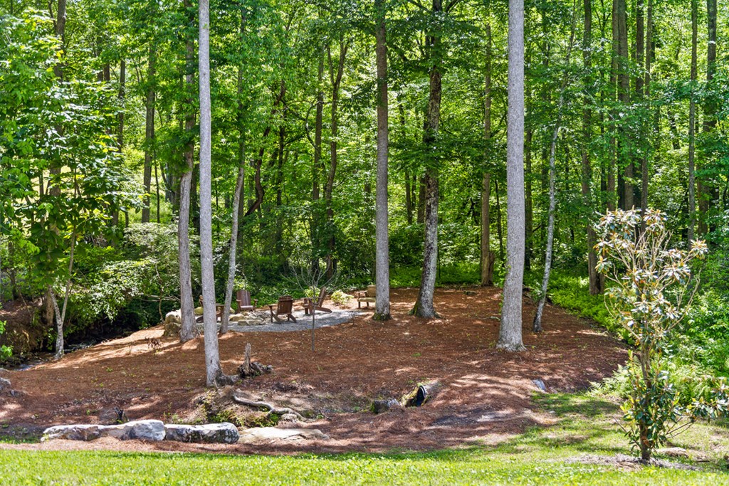 Lot 414 Calloway Mountain Road Talking Rock, GA 30175 - Photo 15 of 25