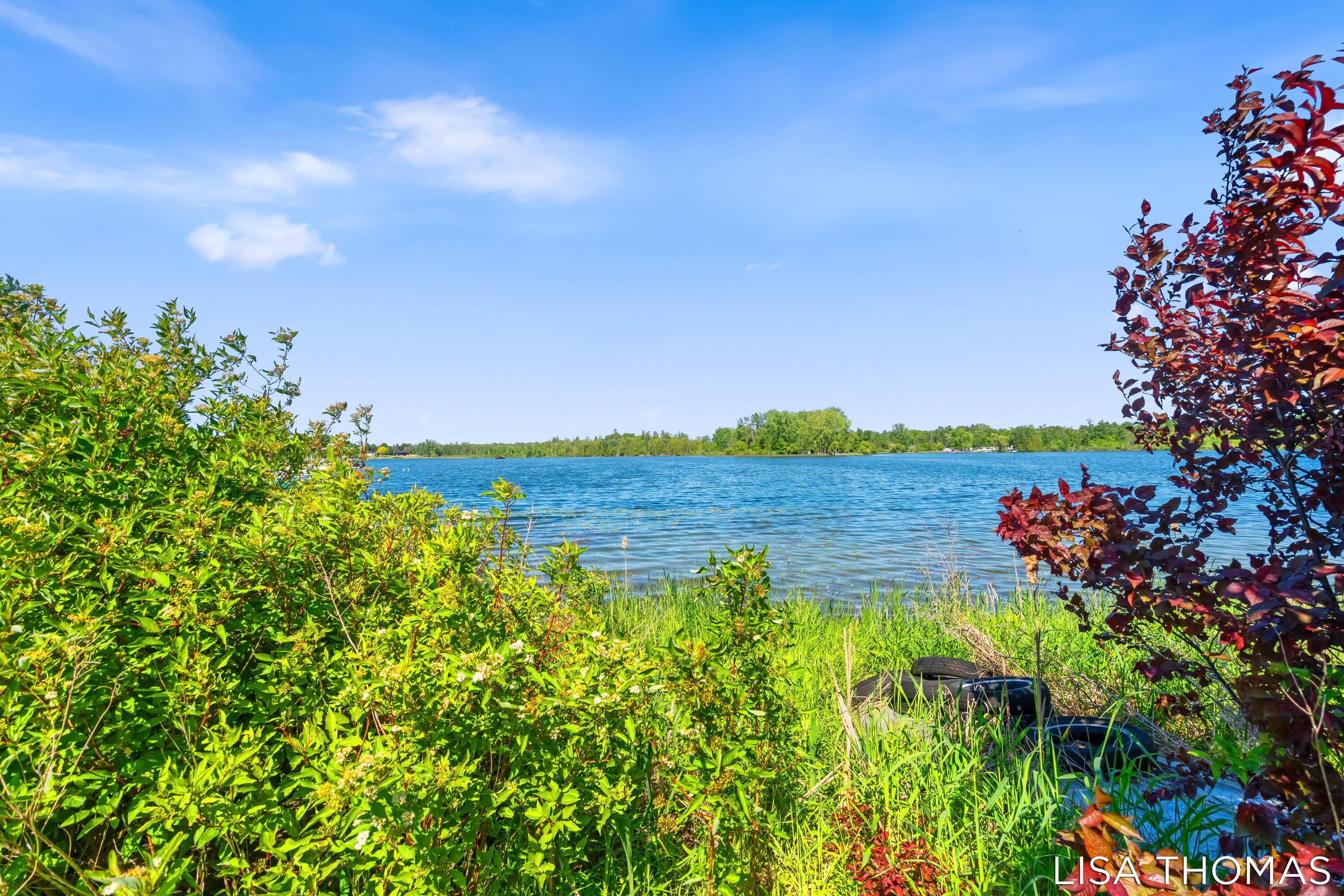 120 Rasmussen Drive Trufant, MI 49347 - Photo 37 of 46 39-print-111