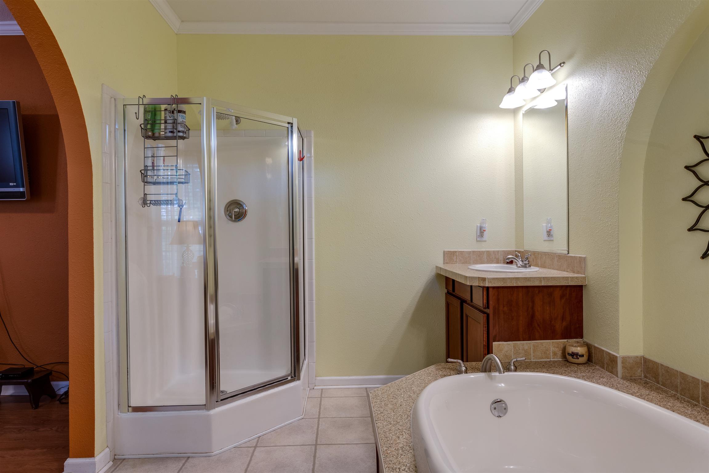 3675 Ball Hollow Road Pulaski, TN 38478 - Photo 14 of 28 Separate Shower