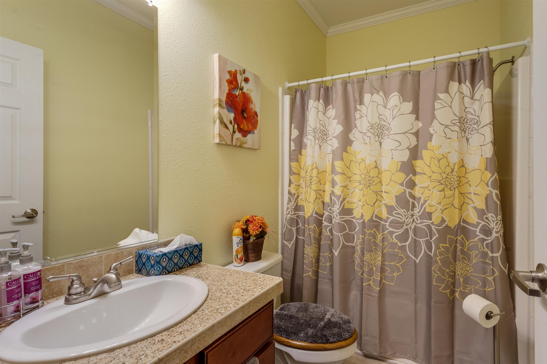 3675 Ball Hollow Road Pulaski, TN 38478 - Photo 17 of 28 Guest Bathroom with tub/shower.