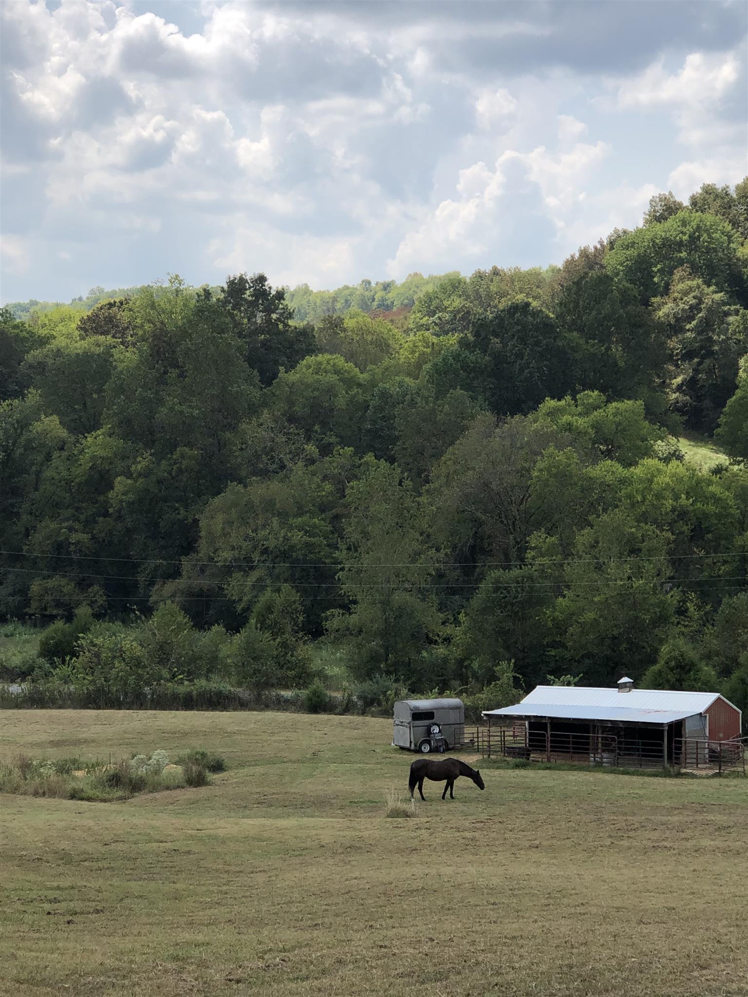 3675 Ball Hollow Road Pulaski, TN 38478 - Photo 23 of 28 Barn has water and storage area.
