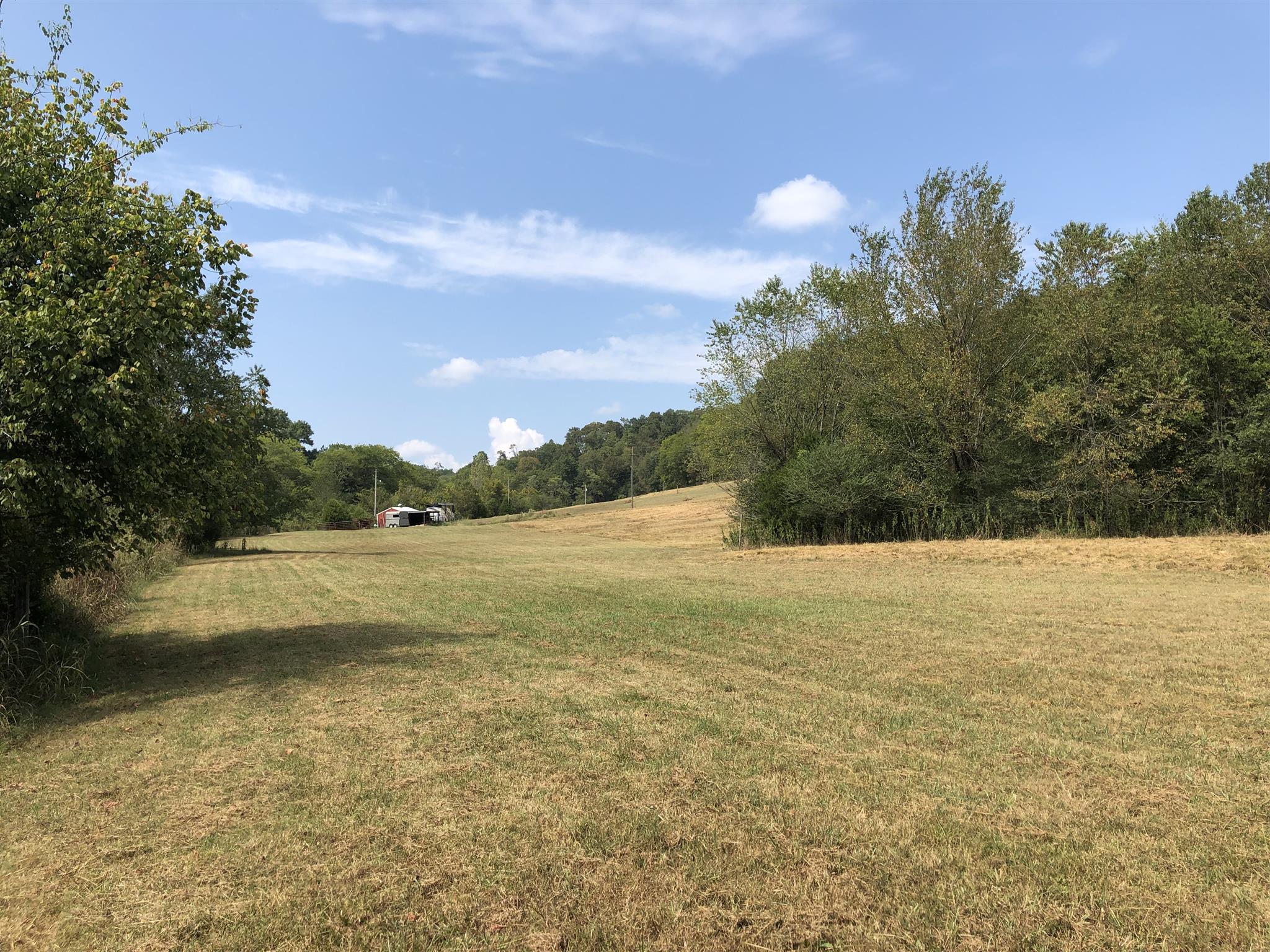 3675 Ball Hollow Road Pulaski, TN 38478 - Photo 24 of 28 Beautiful Pasture land. Richland School District Zoned