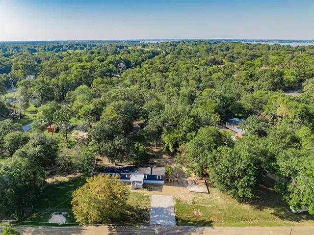 a view of a yard with plants and wooden fence