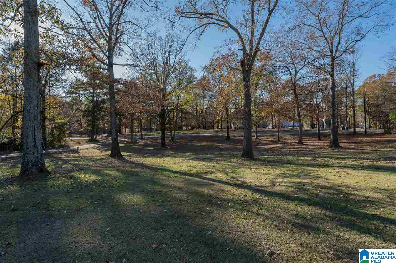 107 Zeltman Hill Road Pell City, AL 35128 - Photo 36 of 41