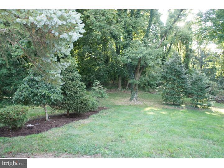 455 South Old Middletown Road Media, PA 19063 - Photo 21 of 25 Back Yard